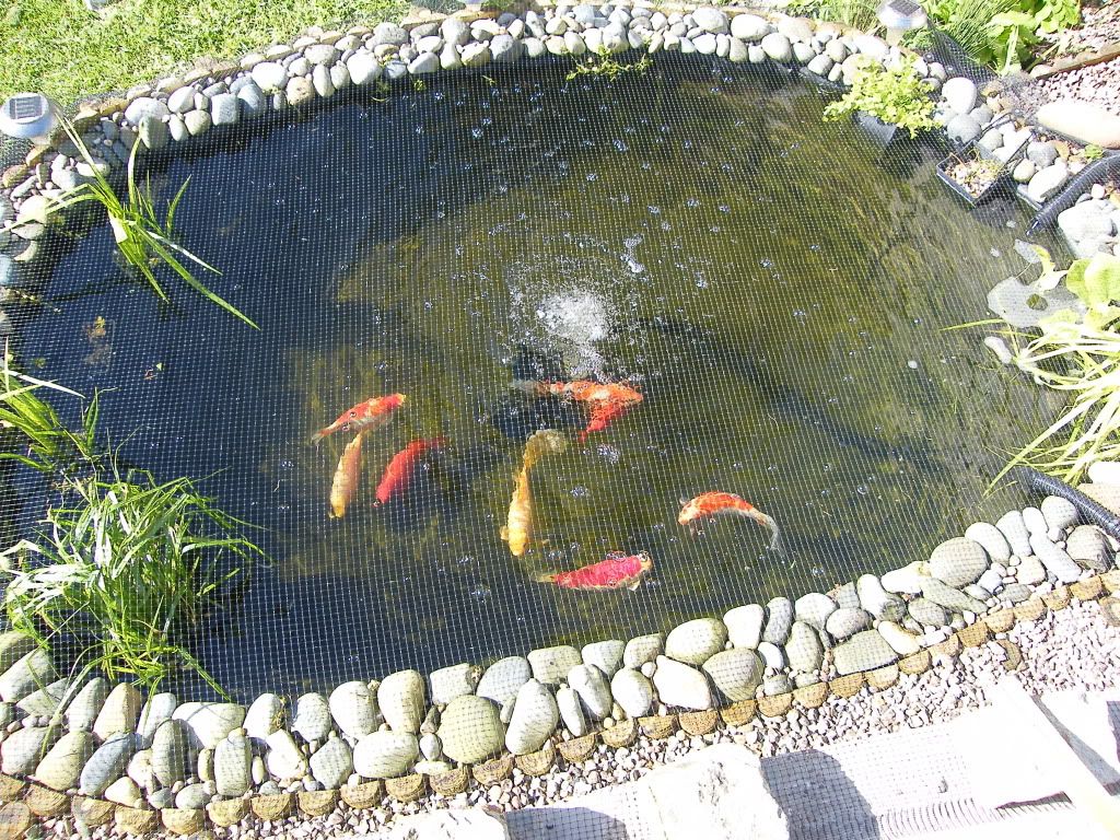 DSCF4110.jpg