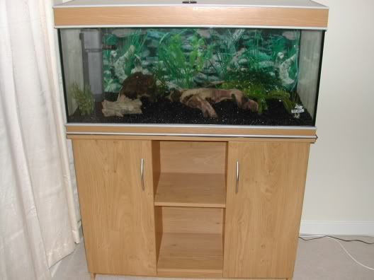 Tank003.jpg