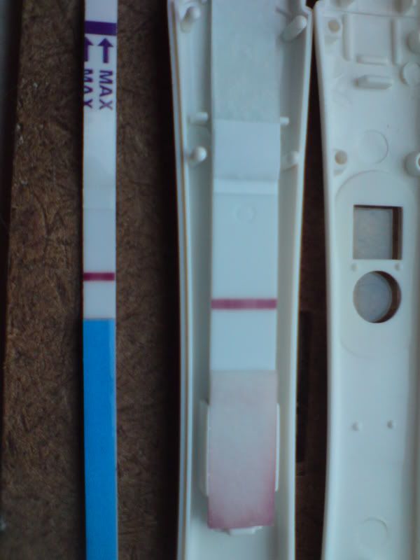ABCD0003.jpg