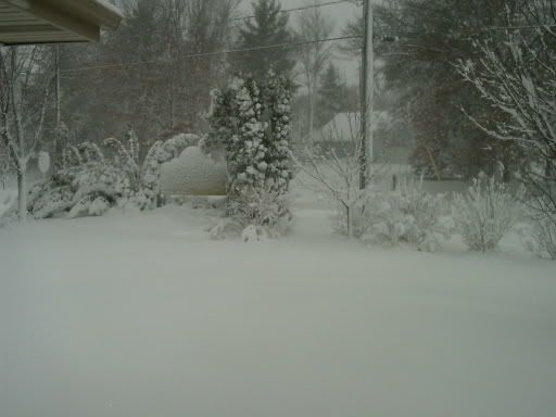 3-13-06WinterStorm002.jpg