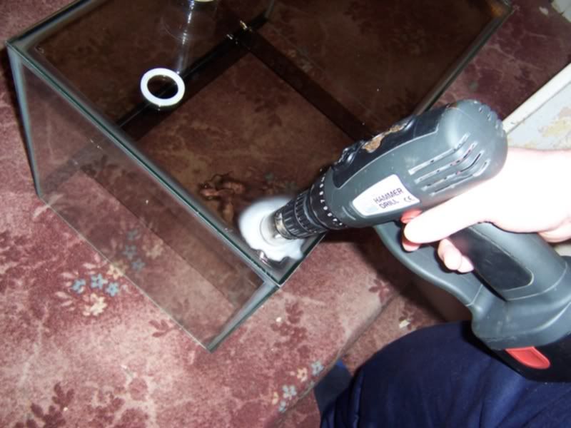 100_4875.jpg