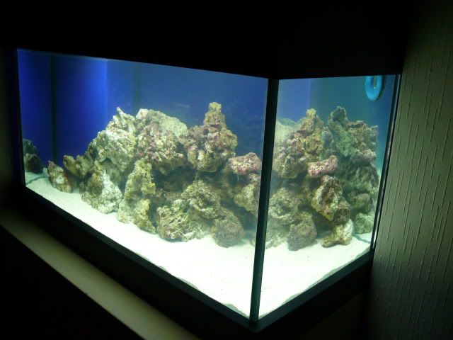 P1030327.jpg
