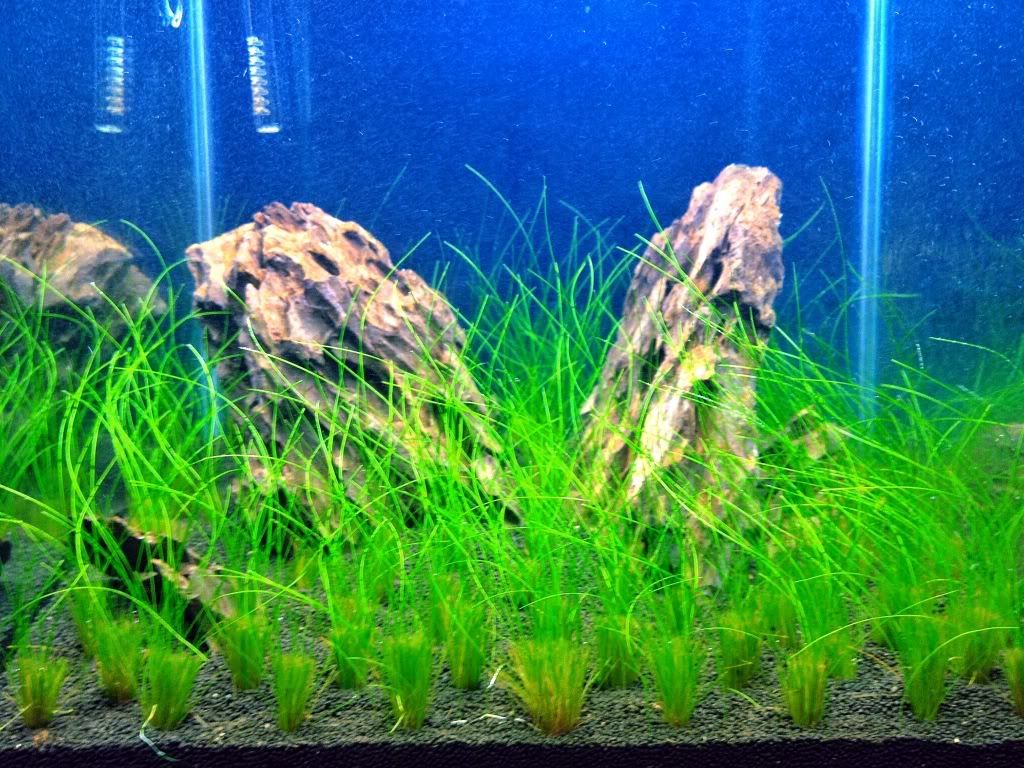 week2beforetrim1.jpg