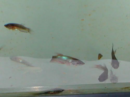 DSCN9349.jpg