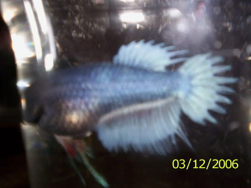 100_1524.jpg