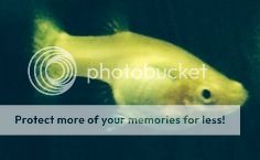 cff1d22b24798015b1f0308d82fce834.jpg