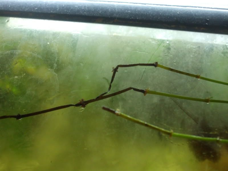 DSCF5598.jpg