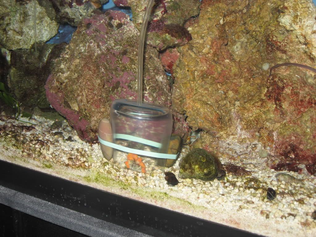 IMG_0404.jpg