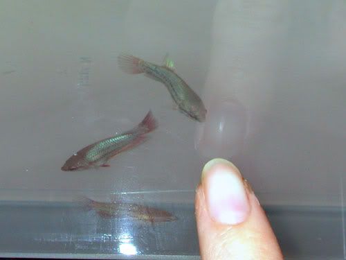 DSCN9476.jpg