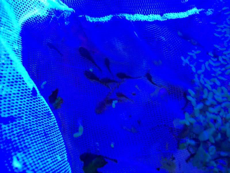 100_0361.jpg