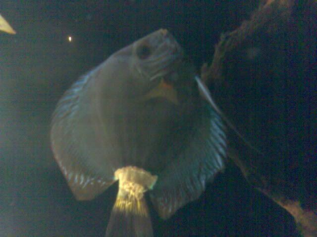 Image016-1.jpg