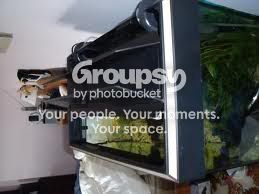 lid2.jpg