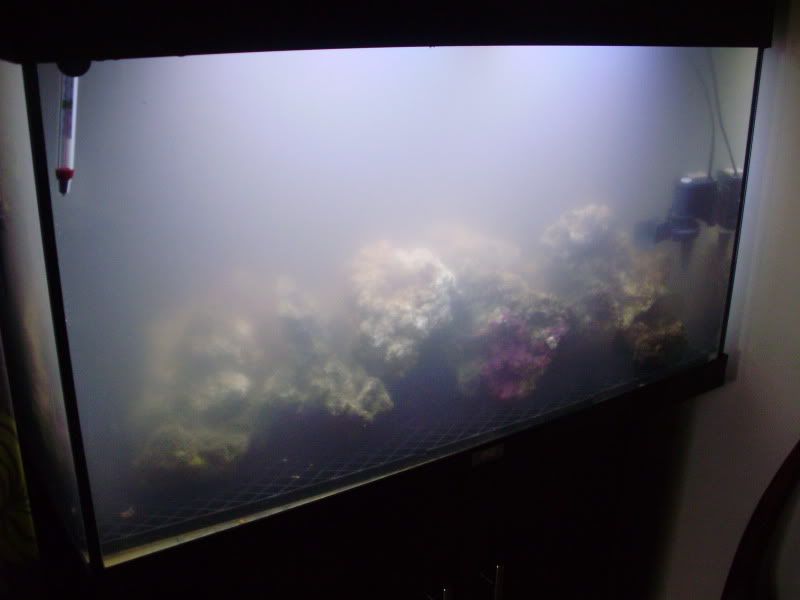P9100008.jpg