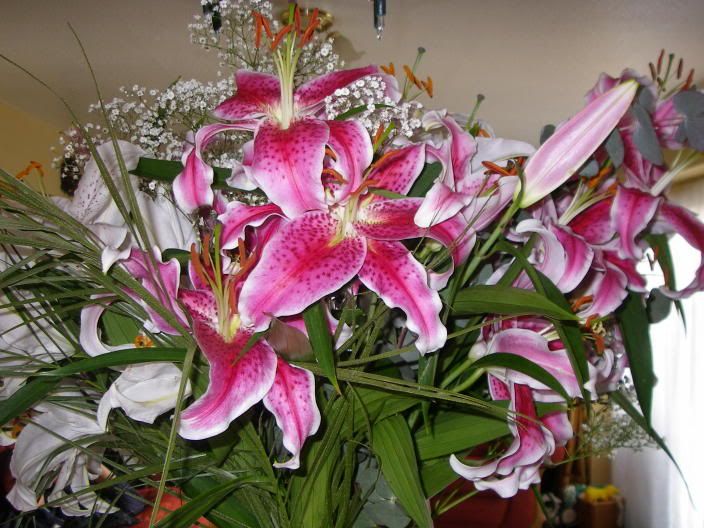 2april2006013.jpg