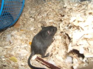 DSCF1376.jpg