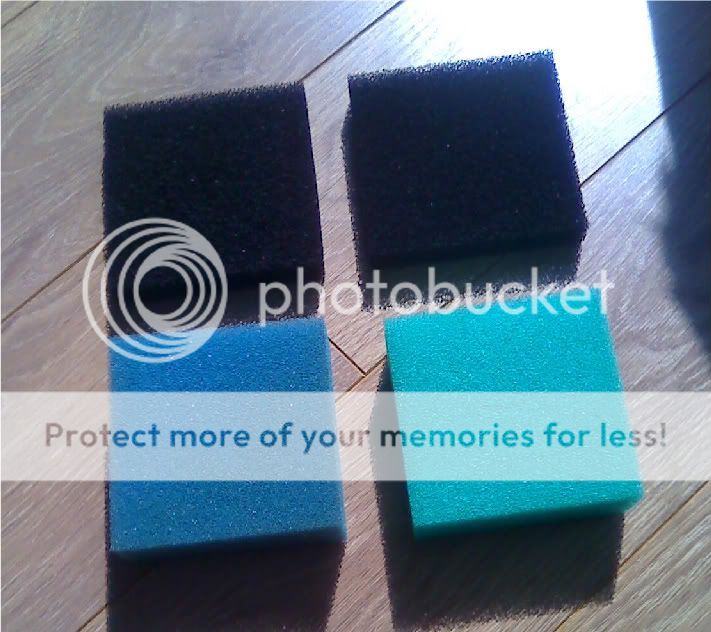 moto_0332.jpg