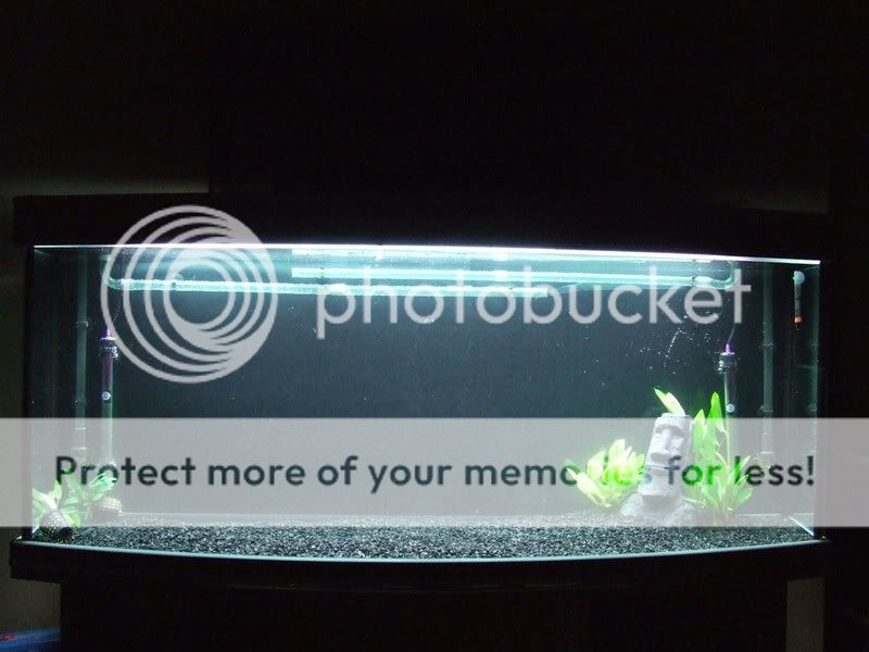 DSCF2785.jpg