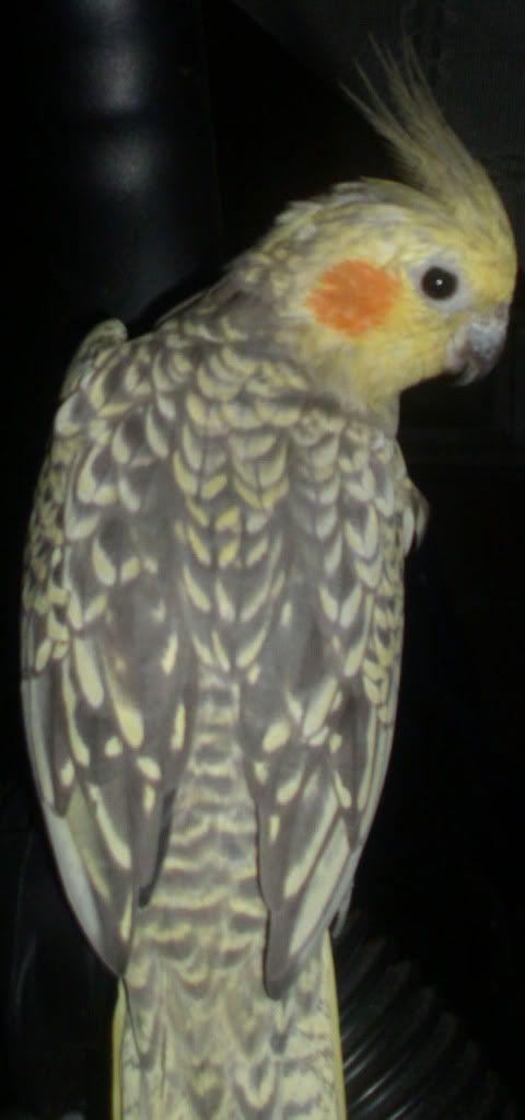 DSCI0067.jpg