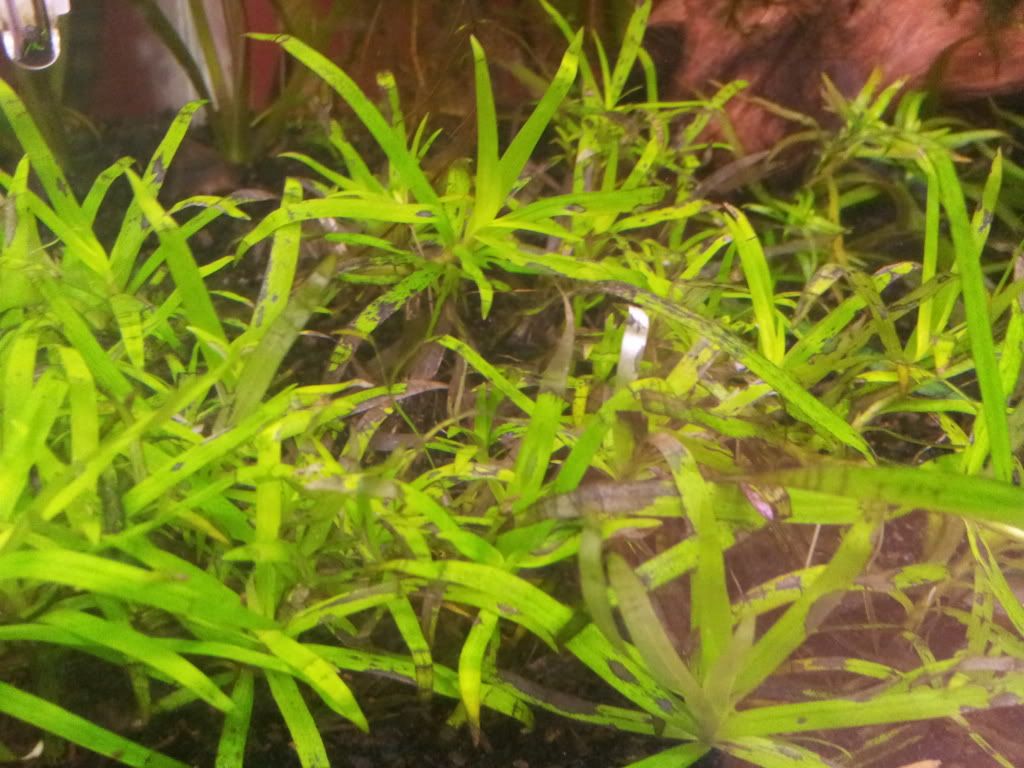 20121116_120420.jpg