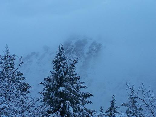 snow7.jpg