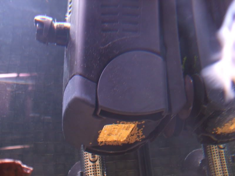 DSCF2203.jpg