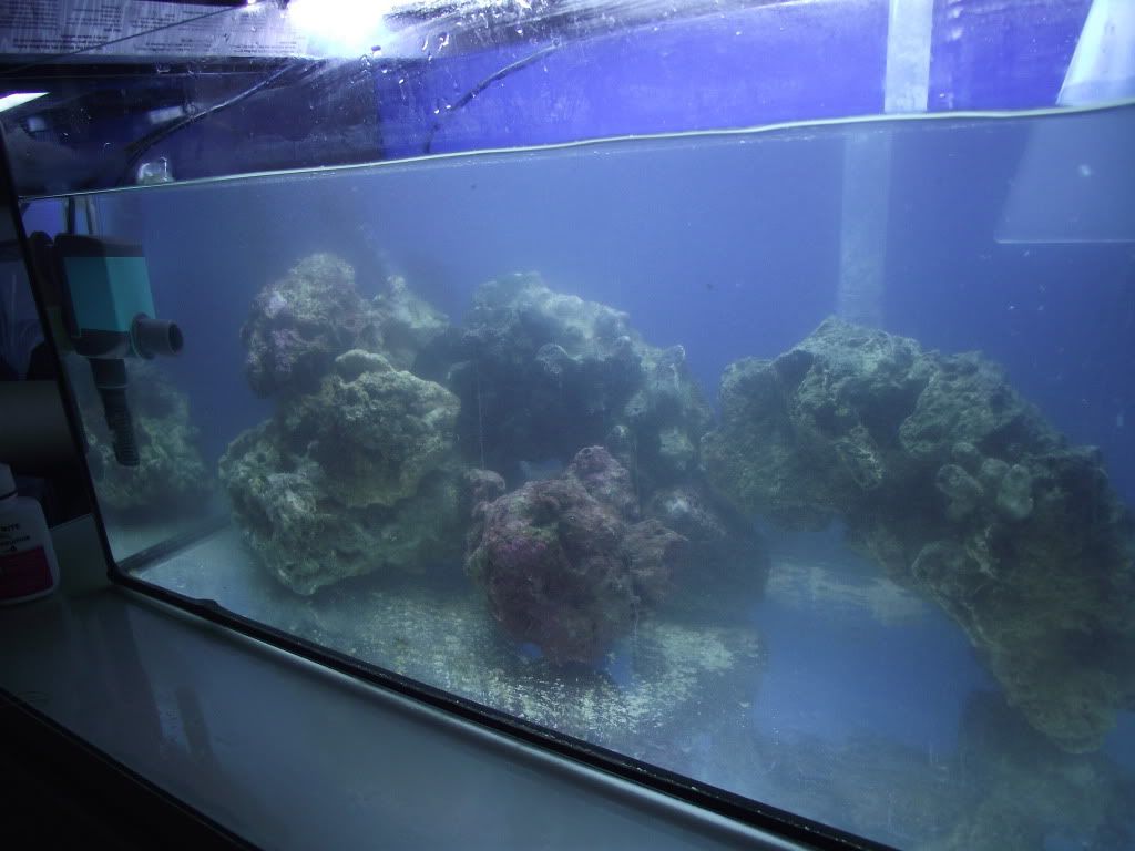 DSCF1407.jpg