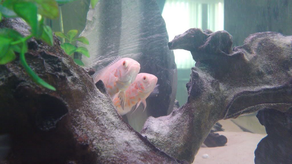 03022011027.jpg