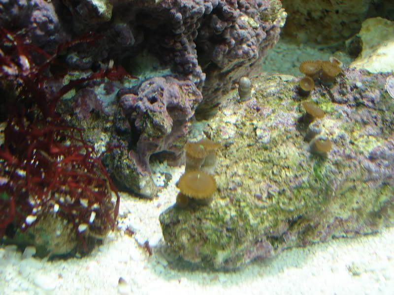 DSC02423.jpg