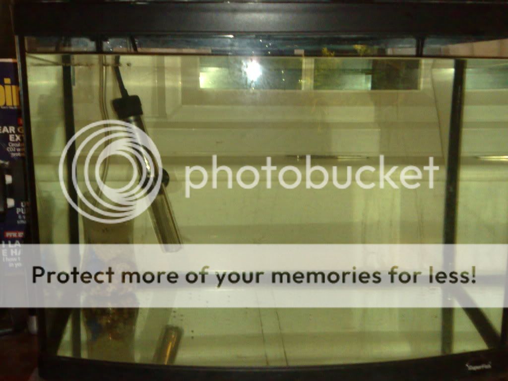 20012008308.jpg