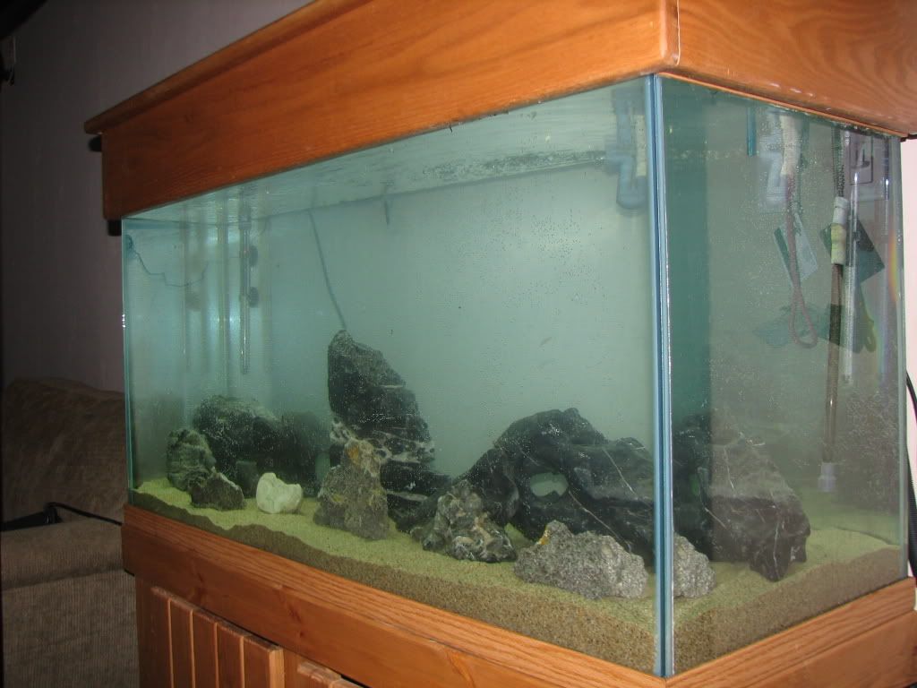FishTank001.jpg