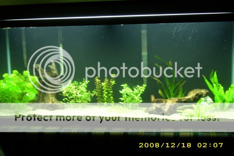 DSCI0165-1.jpg