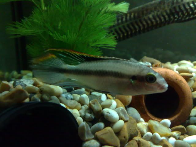 22012009136.jpg