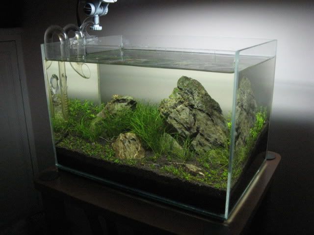 20090527001.jpg