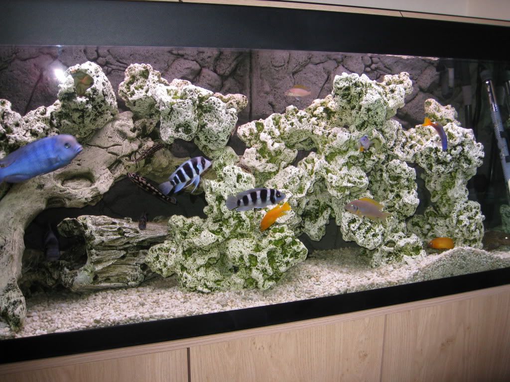 IMG_2547.jpg