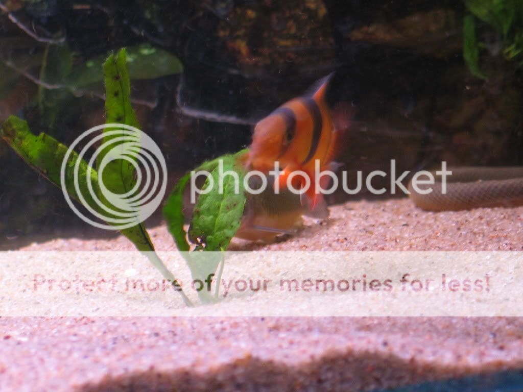 IMG_5147.jpg