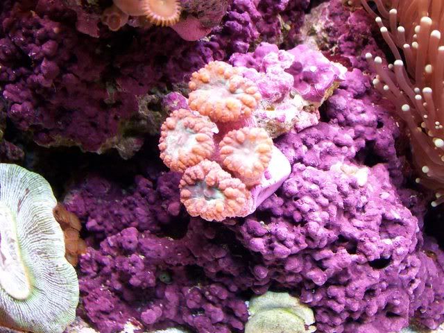 Picture042.jpg