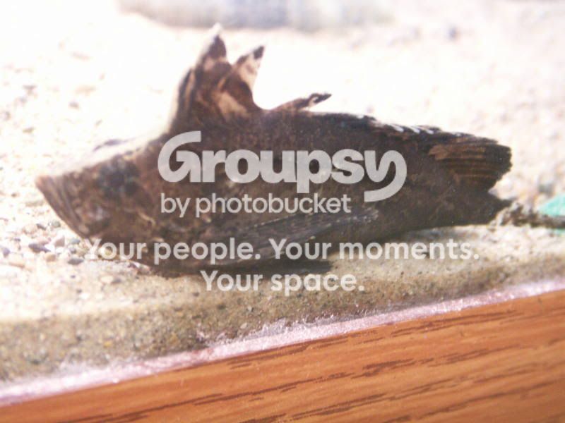 PICT0116.jpg