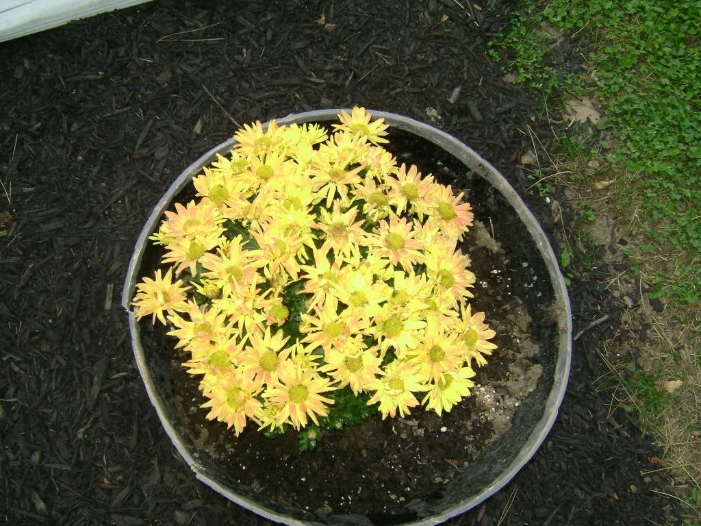 031-1.jpg