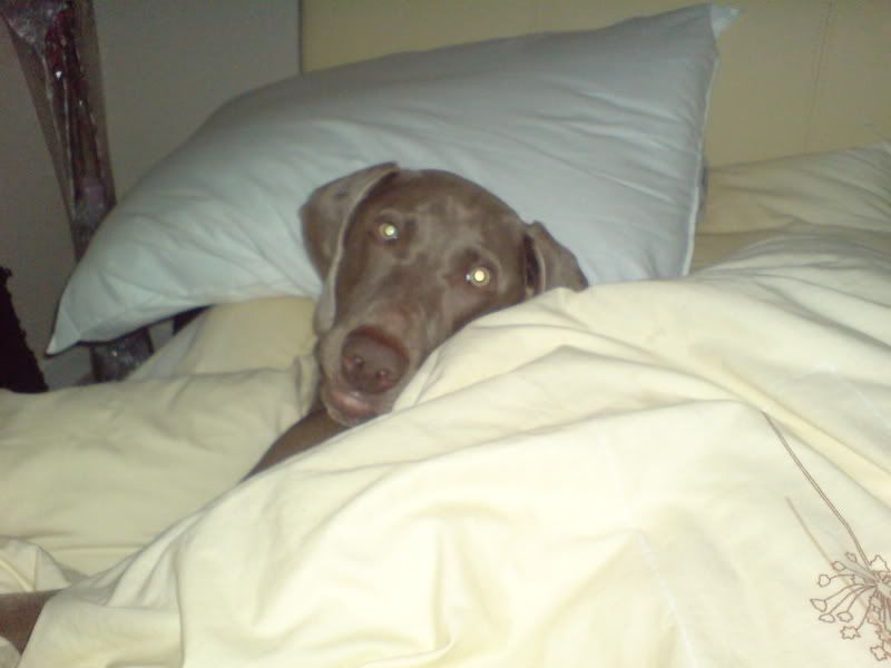 DSC00005.jpg