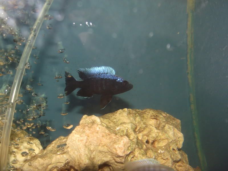DSCF7245.jpg
