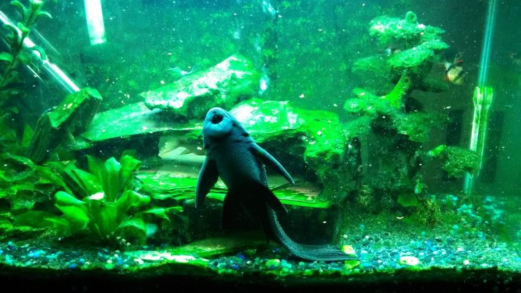 IMG_20121215_212744_995.jpg