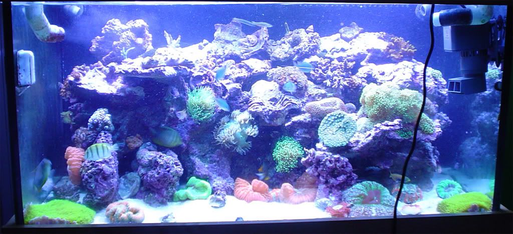 fts.jpg