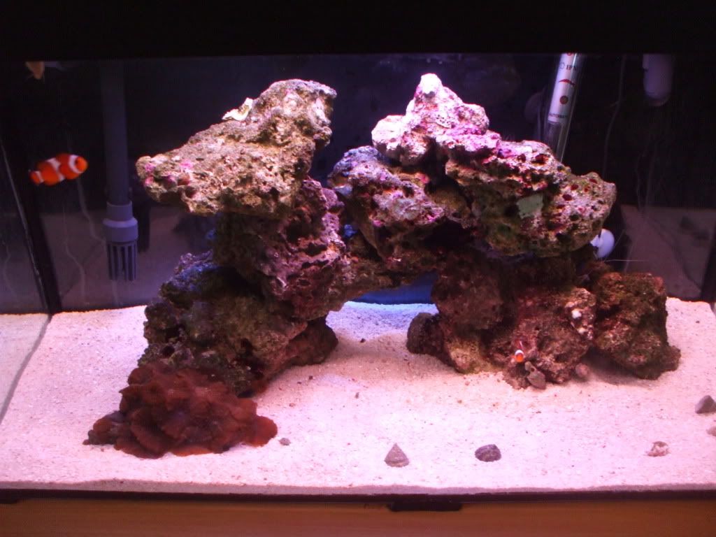 DSCF9035.jpg