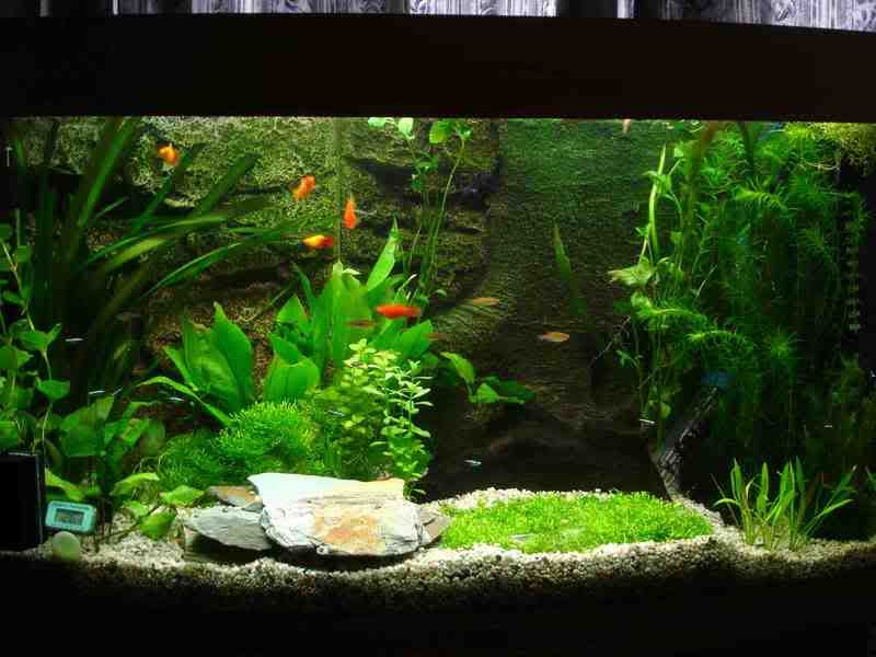 fulltank3.jpg