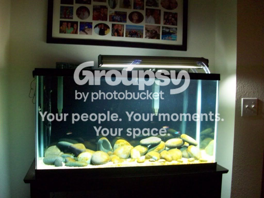 100_2475.jpg