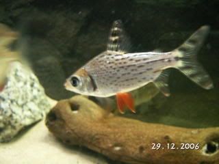PICT0660.jpg