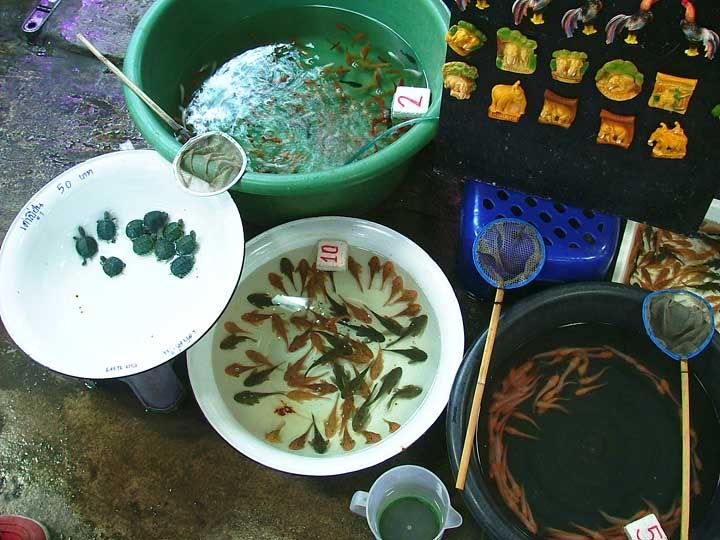 jatujak-bowls.jpg