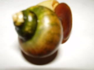 fa6d587f.jpg