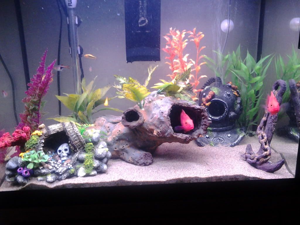 20121227_200216.jpg