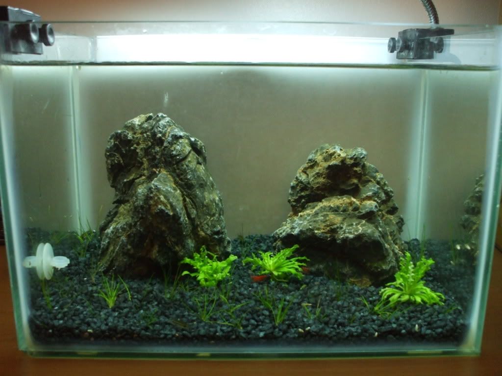 DSCF9732.jpg